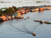 Day 11: Tonlé Sap Lake - flooded forest - floating village (B,L)