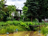 Pond/Garden Villa 